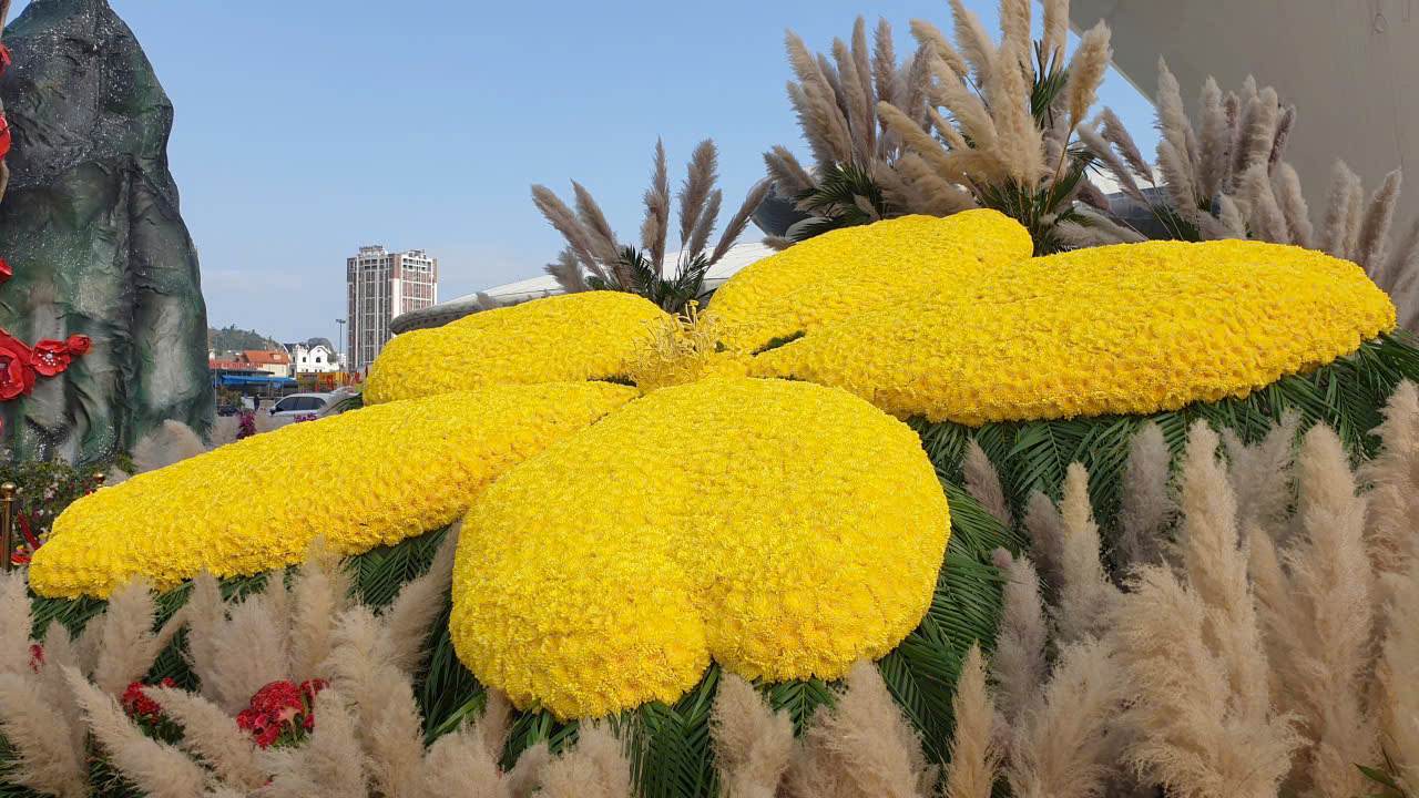 Đại lộ hoa hứa hẹn mang lại trải nghiệm đặc biệt cho người dân, du khách trong những ngày Tết. Ảnh: Nguyễn Hùng