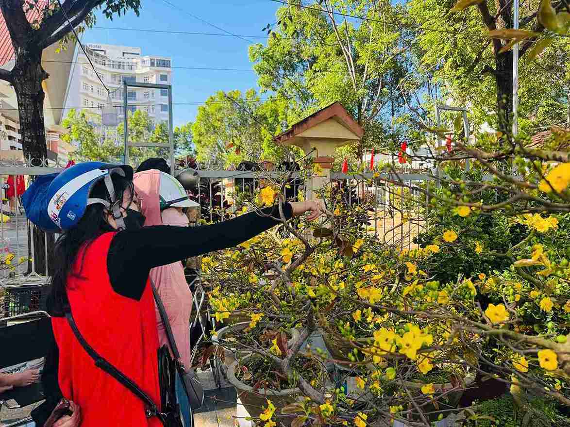 Tết năm nay nhiều tiểu thương quyết không giảm sâu giá bán cây cảnh. Ảnh: Long Du