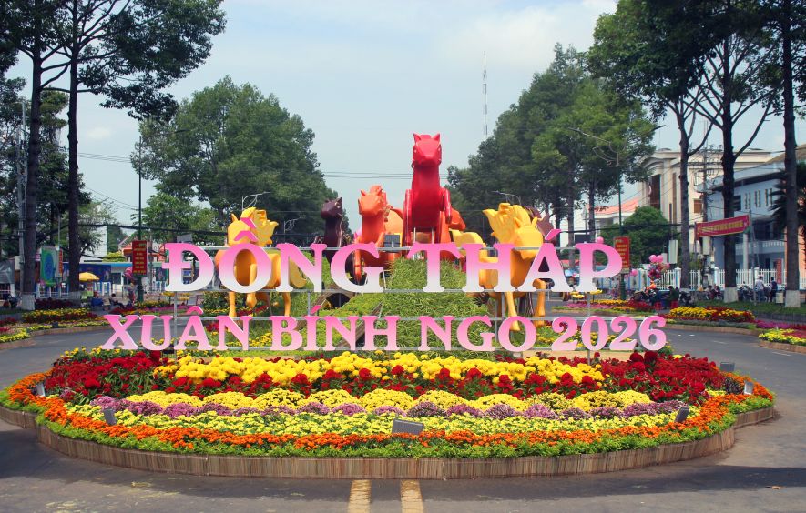 Đường hoa Xuân Tết Bính Ngọ ở Cao Lãnh tọa lạc trên đường Lý Thường Kiệt  với chiều dài 500m. Ảnh: Thanh Mai