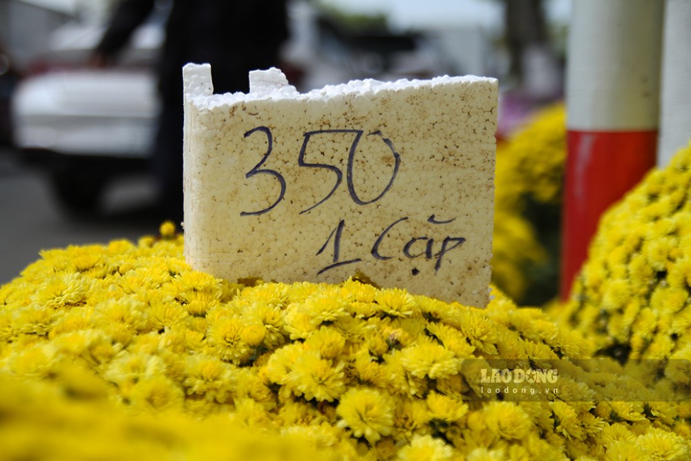 Sắc hoa tươi hòa cùng tiết trời mùa Xuân. Ảnh: Thanh Huyền