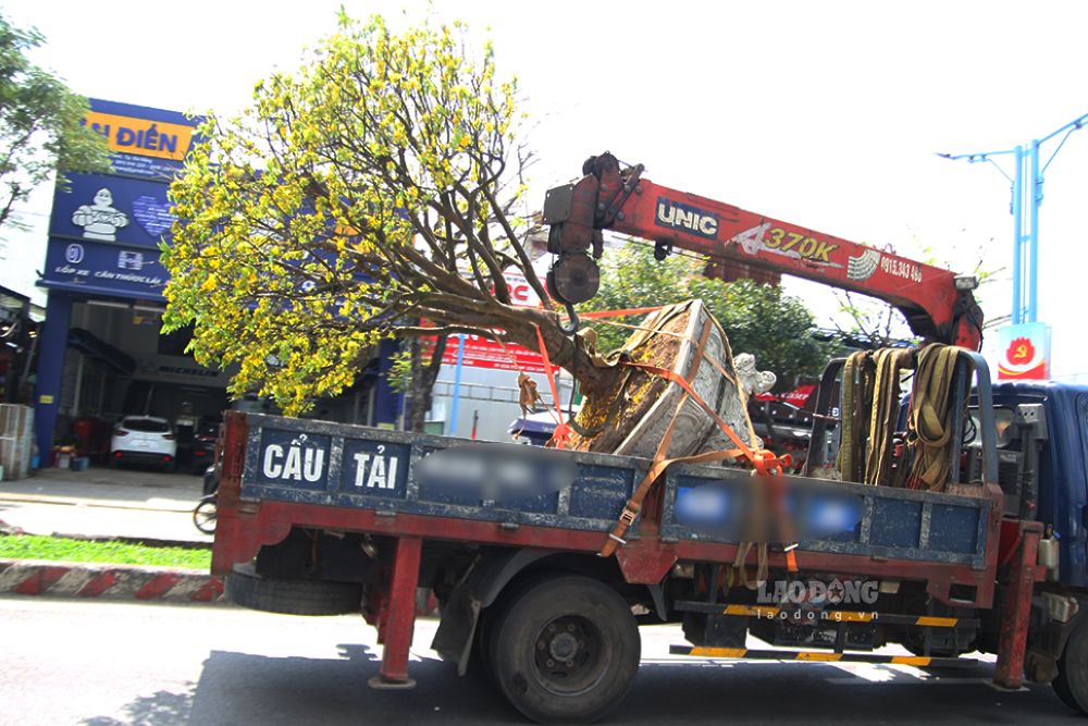 Những chuyến xe chở mùa Xuân về nhà. Ảnh: Thanh Huyền