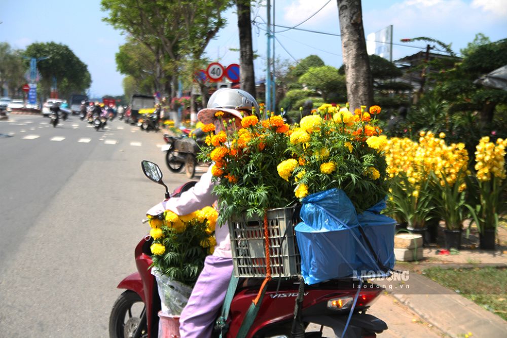 Những ngày cuối năm, người dân Đà Nẵng vẫn tất bật chở cây cảnh, hoa tươi về trang trí nhà cửa. Ảnh: Thanh Huyền