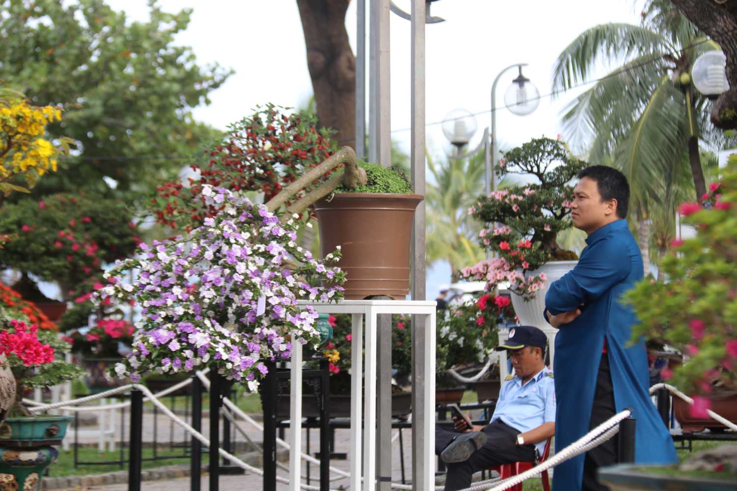 Hội hoa Xuân Nha Trang - Khánh Hòa năm nay thu hút nhiều cây cảnh độc lạ. Ảnh: Phương Linh