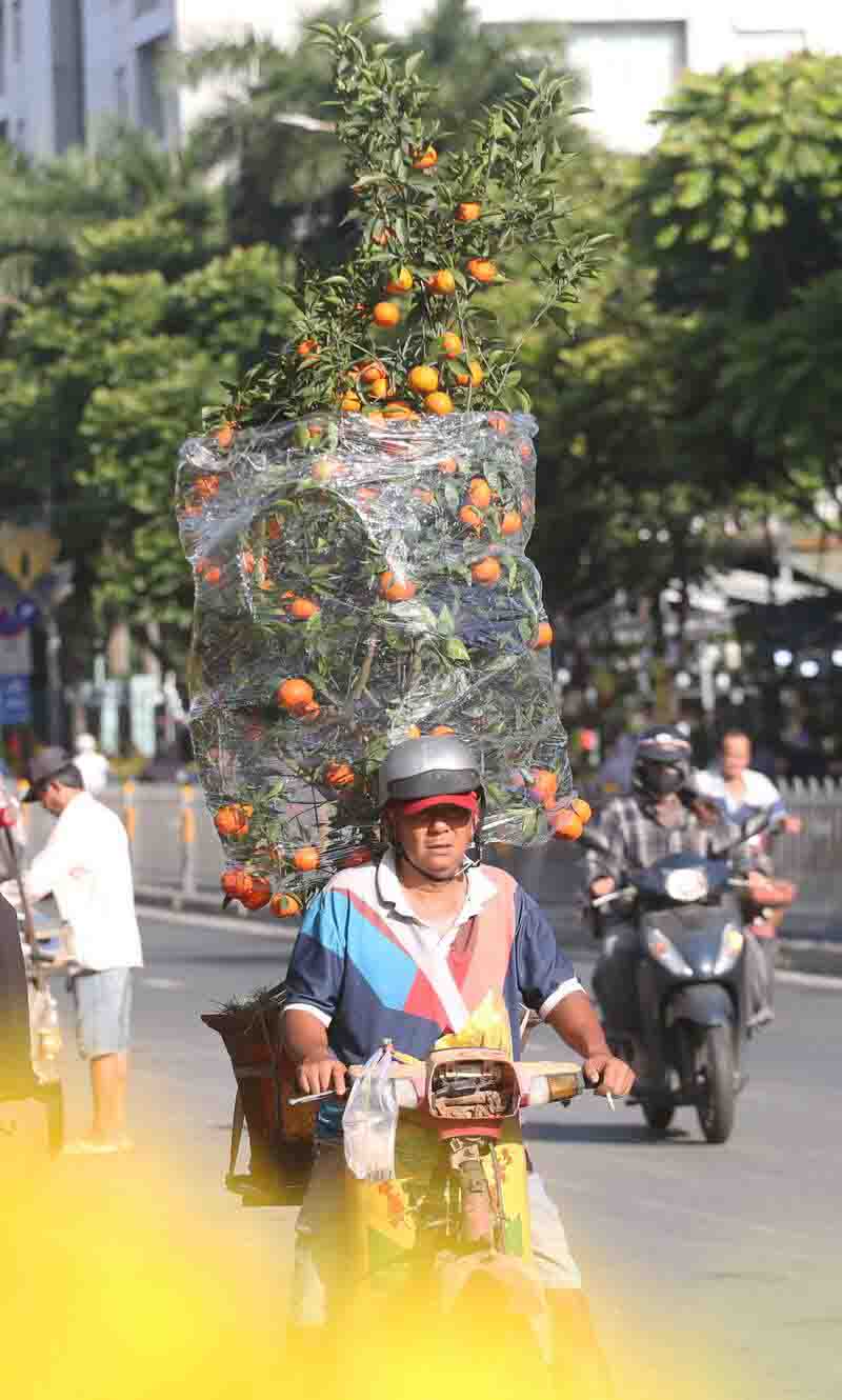 Trên nhiều tuyến đường, hình ảnh người dân chở hoa, cây cảnh về nhà vẫn xuất hiện, góp thêm sắc màu Xuân cho phố xá.