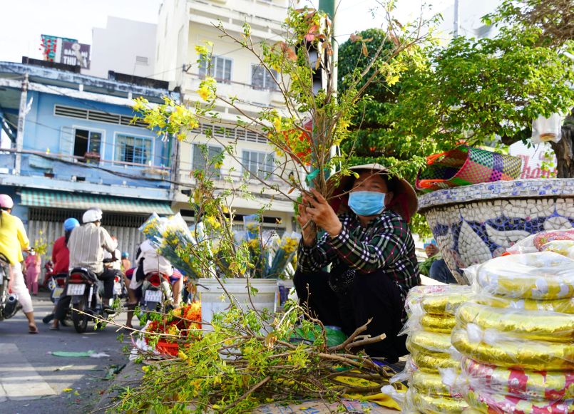 Những cành mai vàng rực rỡ sẵn sàng theo chân người dân về đón xuân. Ảnh: Phương Anh