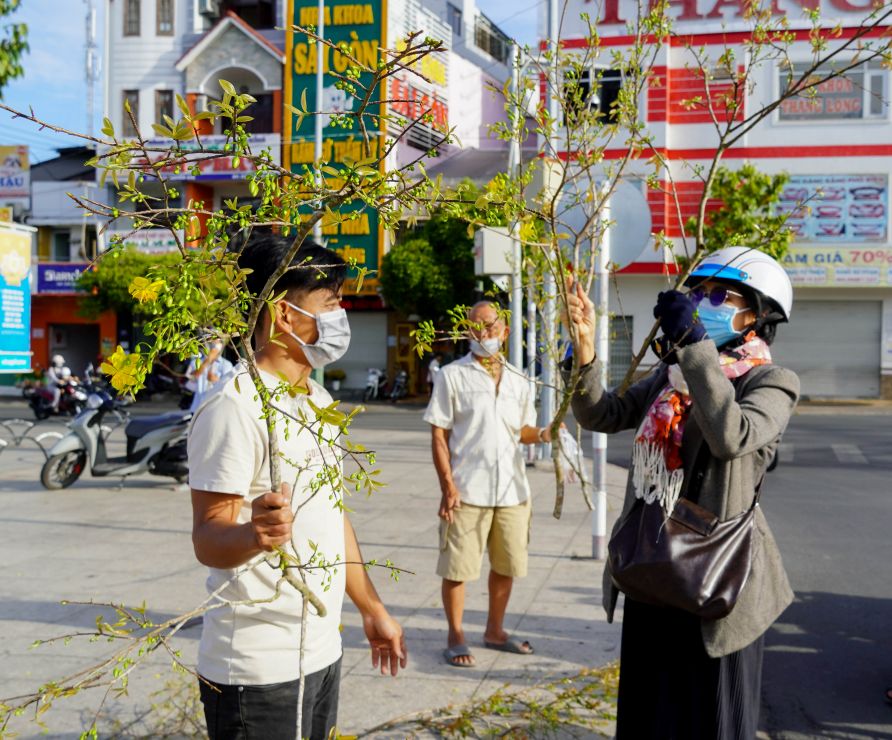 Điểm bán mai nhánh nhộn nhịp tại khu vực Công viên 30/4 (phường Phú Lợi, TP Cần Thơ) sáng 29 Tết. Ảnh: Phương Anh