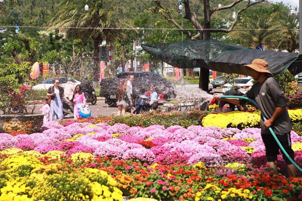 Người dân xuống phố chọn hoa Tết. Ảnh: Hoài Phương