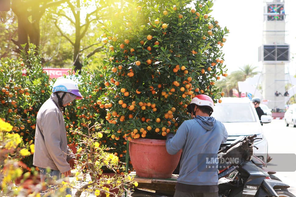 Lao động thời vụ hối hả “chở Tết” cho khách. Ảnh: Hoài Phương