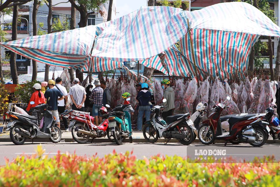 Người người chen chân chọn hoa Tết. Ảnh: Hoài Phương