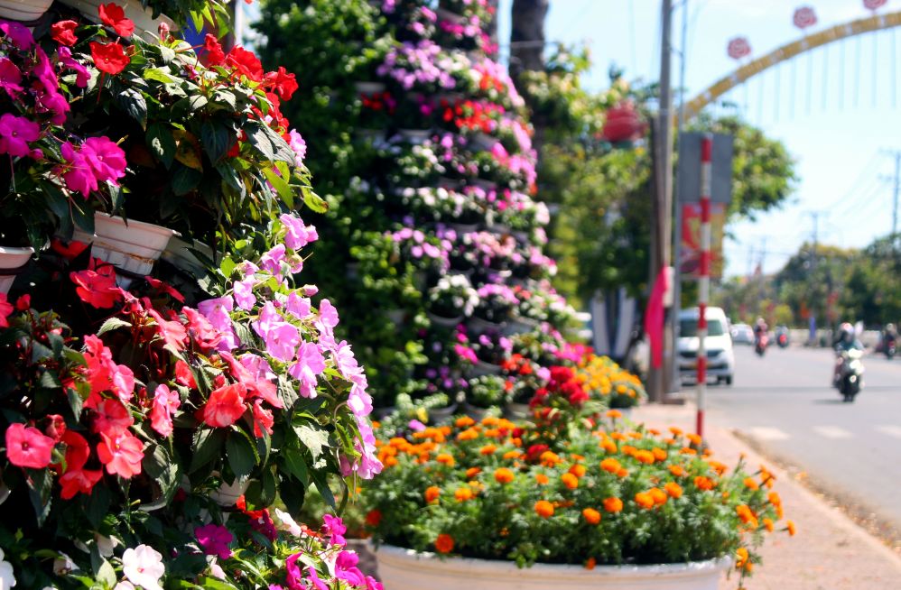 Bên ngoài trụ sở, hướng ra đường Nguyễn Sinh Sắc, cũng lung linh sắc màu của hoa lá. Ảnh: Thanh Mai