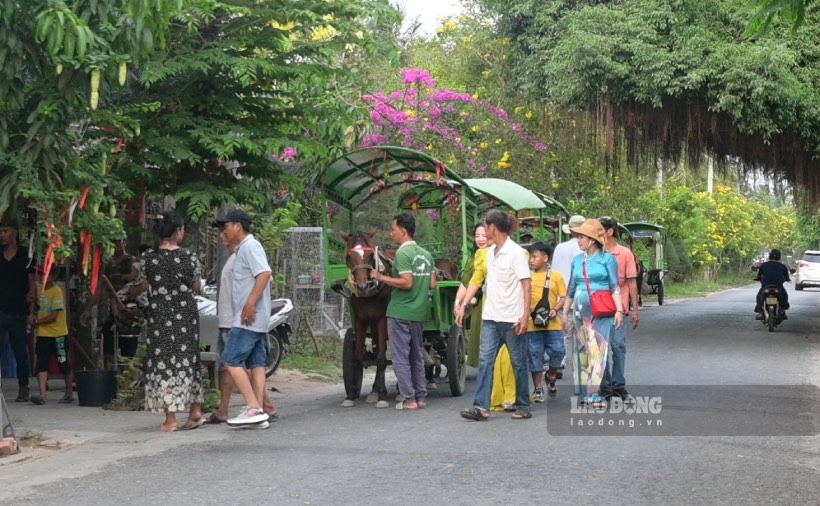 Mô hình xe ngựa giúp nhiều hộ dân có thêm sinh kế ổn định. Ảnh: Thành Nhân