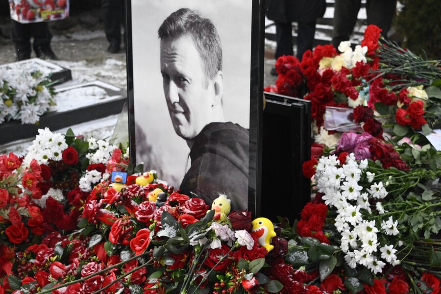 Suspicion that the highly toxic substance originated from frogs is behind the death of Russian opposition leader Alexei Navalny. Photo: AFP