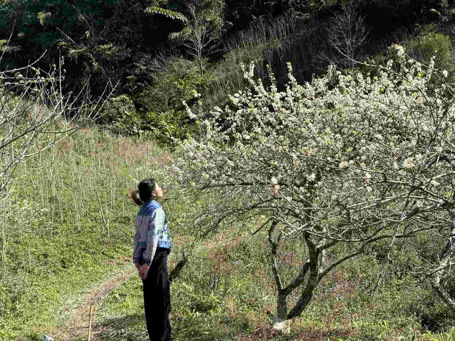 Rực rỡ hương sắc Mường Lống. Ảnh: Ngọc Anh