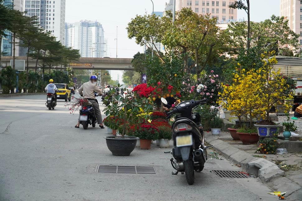 Trong khi đó, tại khu vực đường Dương Đình Nghệ, nhiều sạp bán hoa Tết bày tràn ra lòng đường, không chỉ gây mất mỹ quan đô thị mà còn tiềm ẩn nguy cơ mất an toàn giao thông.