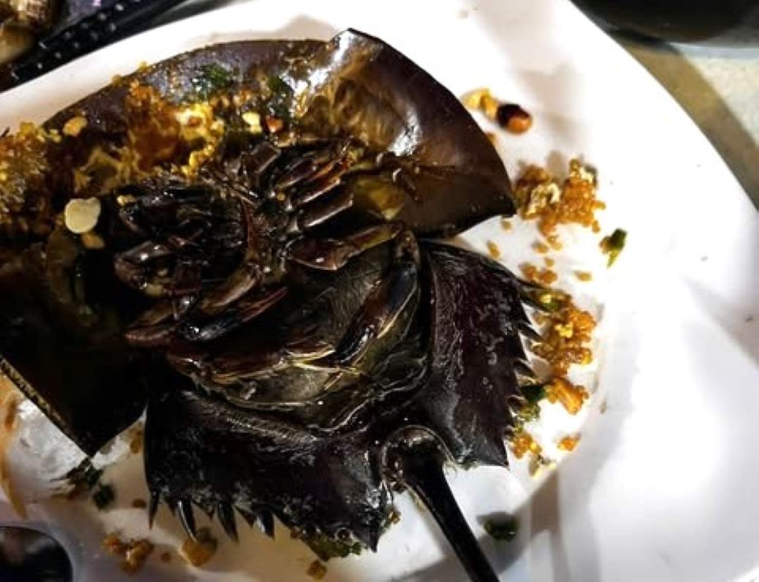 One of the seafood species that 3 people ate before taking pills due to food poisoning. Photo: People provided.
