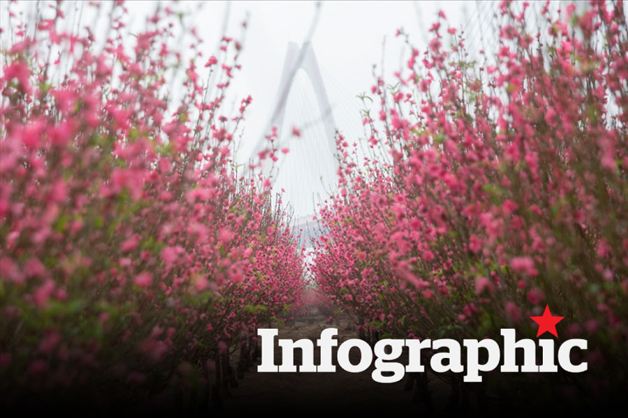 Dự báo thời tiết Hà Nội, TPHCM từ nay đến hết kỳ nghỉ Tết 2026
