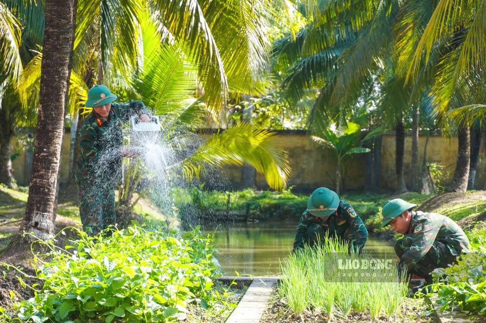 Với tinh thần tự lực, tự cường, từng luống rau, giàn bầu, vườn hoa, cây cảnh đều được chăm sóc chu đáo. Từ khu tăng gia đến khu sinh hoạt chung, đâu đâu cũng rực rỡ sắc xuân, thể hiện nét đẹp chính quy, ngăn nắp và đời sống tinh thần phong phú của Bộ đội Đặc công.