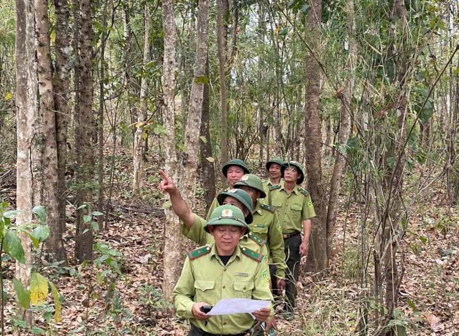 Lực lượng chức năng tuần tra, bảo vệ rừng khộp. Ảnh: Phan Hòa