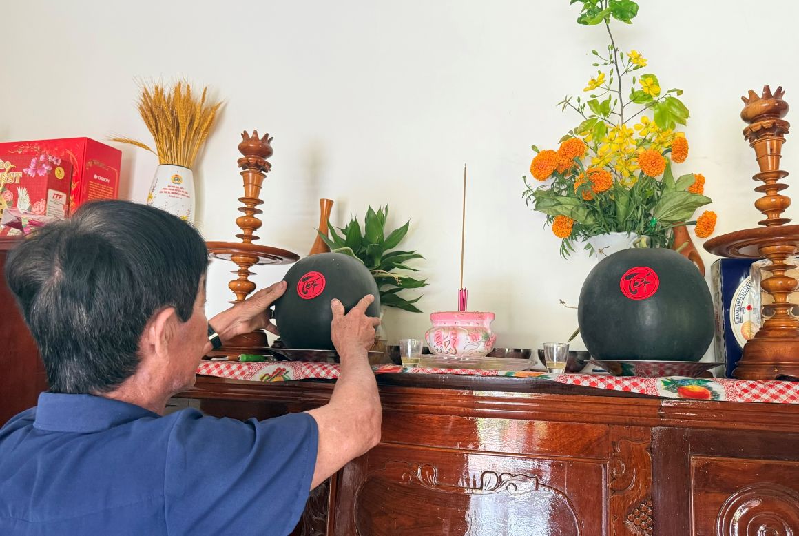Cặp dưa hấu xanh mướt được đặt trang trọng trên bàn thờ tổ tiên ngày Xuân. Ảnh: Phương Anh