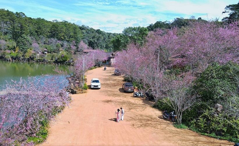 Mang Den, Quang Ngai province, likened to a "miniature Da Lat" of the Central Highlands, will attract a large number of tourists during the Binh Ngo Tet 2026. Photo: Thu Hien