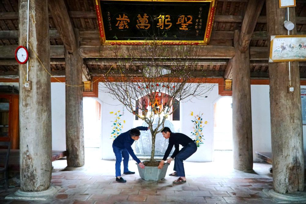 Người dân trang hoàng tại ngôi đình làng Tiên Hòa dịp Tết Nguyên đán Bính Ngọ. Ảnh: Quách Du