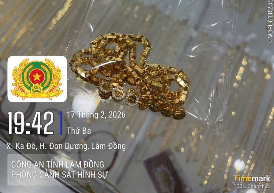 Tang vật các đối tượng cướp giật tài sản tại tiệm vàng. Ảnh: Công an Lâm Đồng