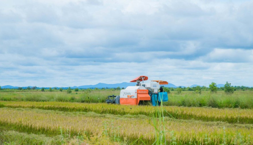 Người dân xã Ia Lốp canh tác trên đồng ruộng. Ảnh: Nguyễn Công