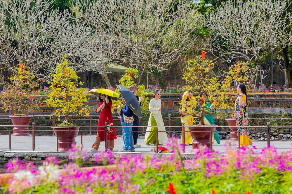 Các sân điện, trục chính trong Đại Nội được trang trí công phu, kết hợp giữa cây xanh, hoa cảnh và tiểu cảnh mang đậm không khí ngày Xuân.