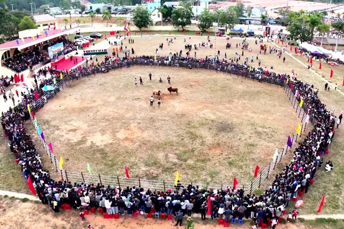 A large number of people and tourists came to watch and cheer for bullfighting matches in Na Son commune, Dien Bien province. Photo: Huy Long