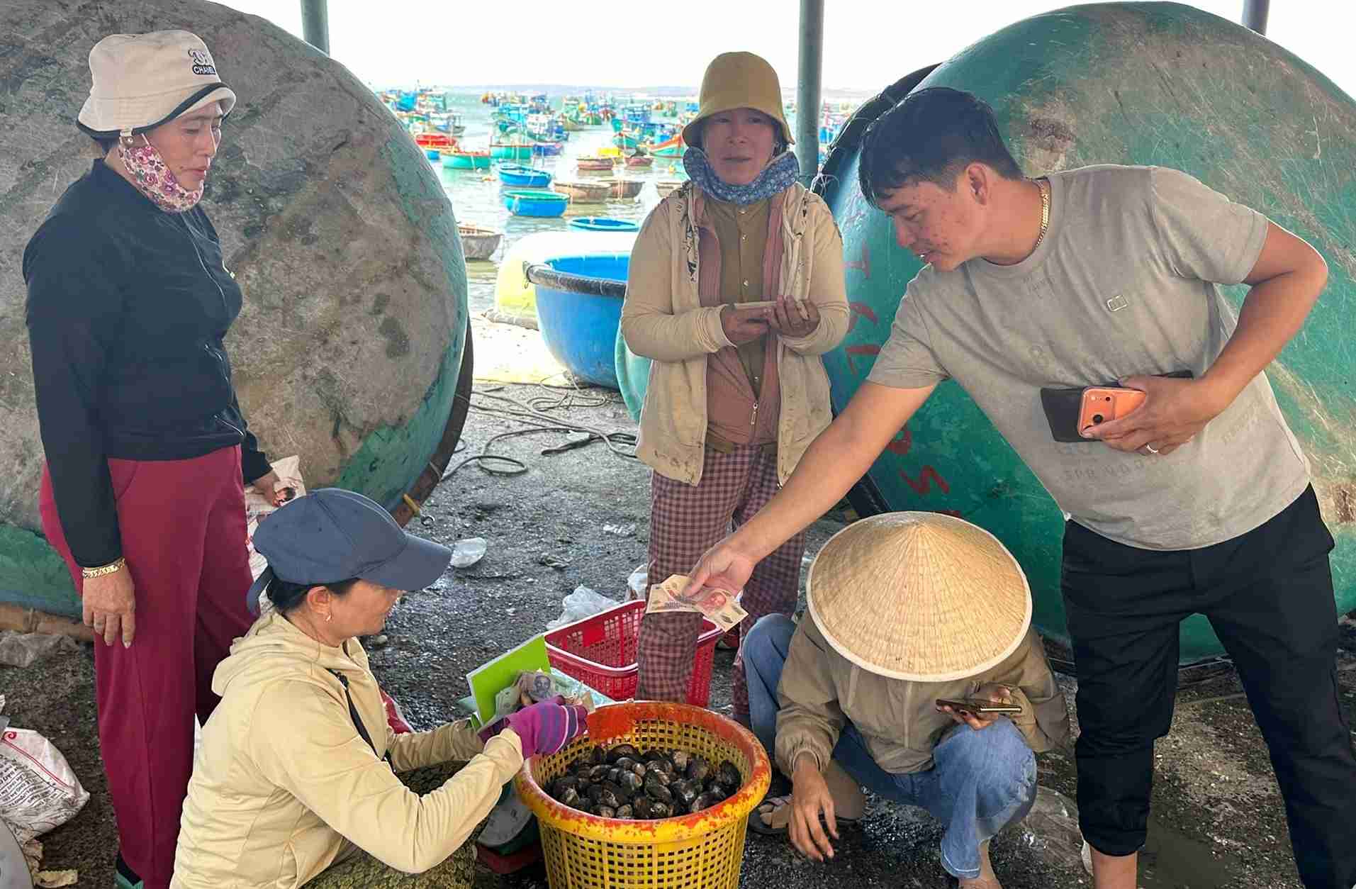 Đầu năm, giá sò lông được ngư dân Lâm Đồng bán 60 ngàn đồng/kg. Ảnh: Kiều Hằng