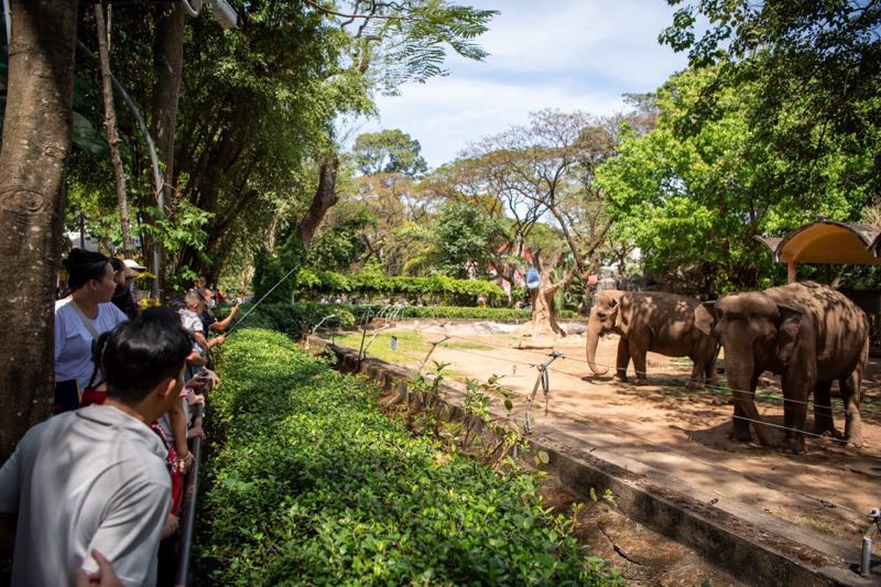 Nhiều gia đình đưa con nhỏ đến Thảo Cầm Viên Sài Gòn để tận hưởng không khí du xuân thư thái, trốn cái nắng gắt 35°C của ngày mùng 2 Tết. Ảnh: Thái Bảo