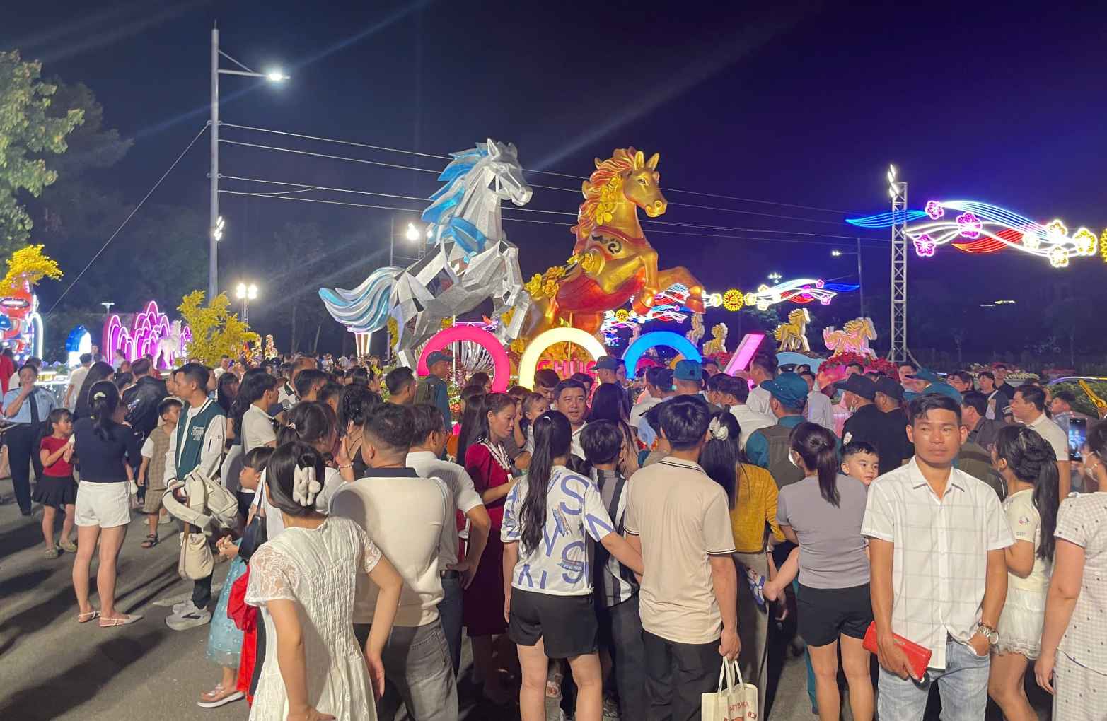 The pair of two horses on the spring flower street in Binh Duong ward attracted people to "check in". Photo: Dinh Trong