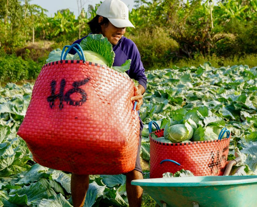 Anh Nguyễn Văn Tám ổn định thu nhập tại địa phương không còn cảnh đi làm ăn xa. Ảnh: Phương Anh