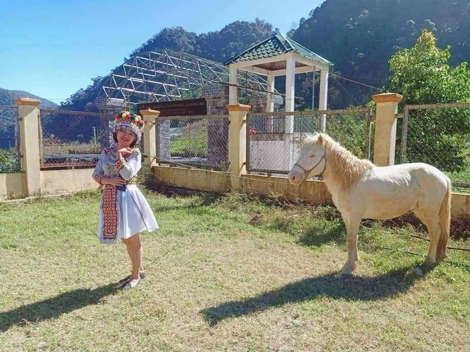 Con ngựa Mường Lống đứng bên thiếu nữ trong trang phục truyền thống người Mông tại vùng “cổng trời” Mường Lống. Ảnh: Ngọc Anh