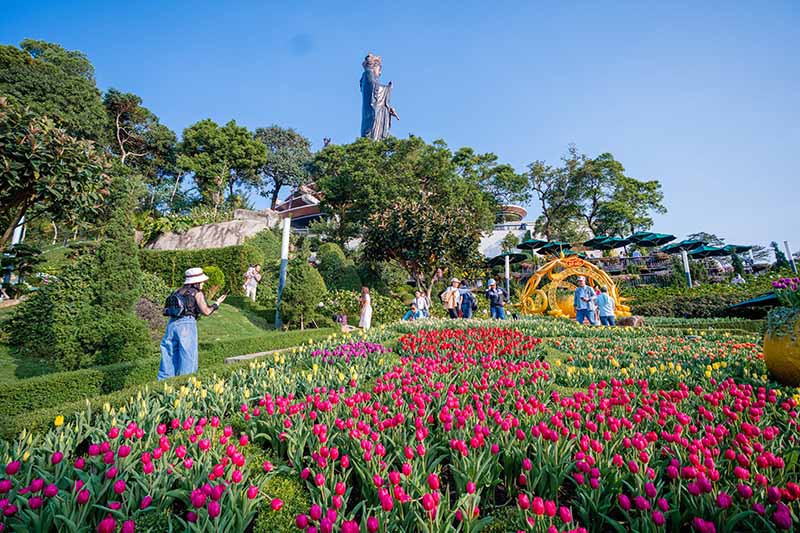 Núi Bà Đen hút khách với khoảng 20.000 hoa tulip. Ảnh: Chi Chi