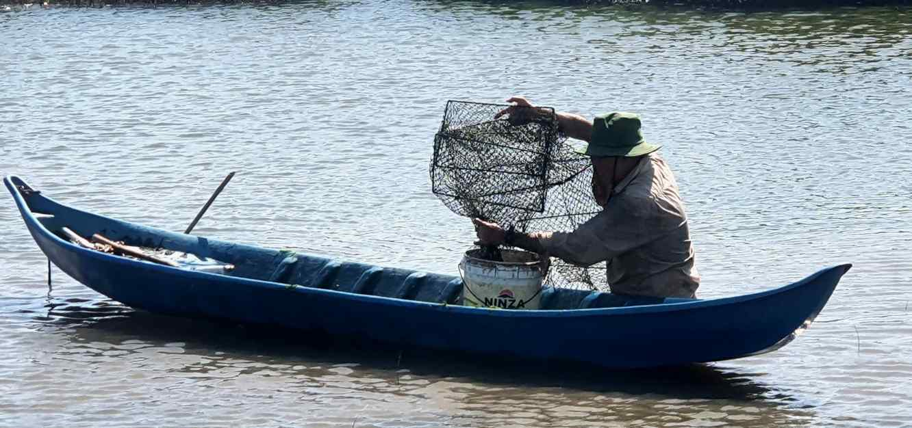 Mô hình tôm - cua được xem là sản xuất bền vững vùng mặn tại Cà Mau. Ảnh: Nhật Hồ.