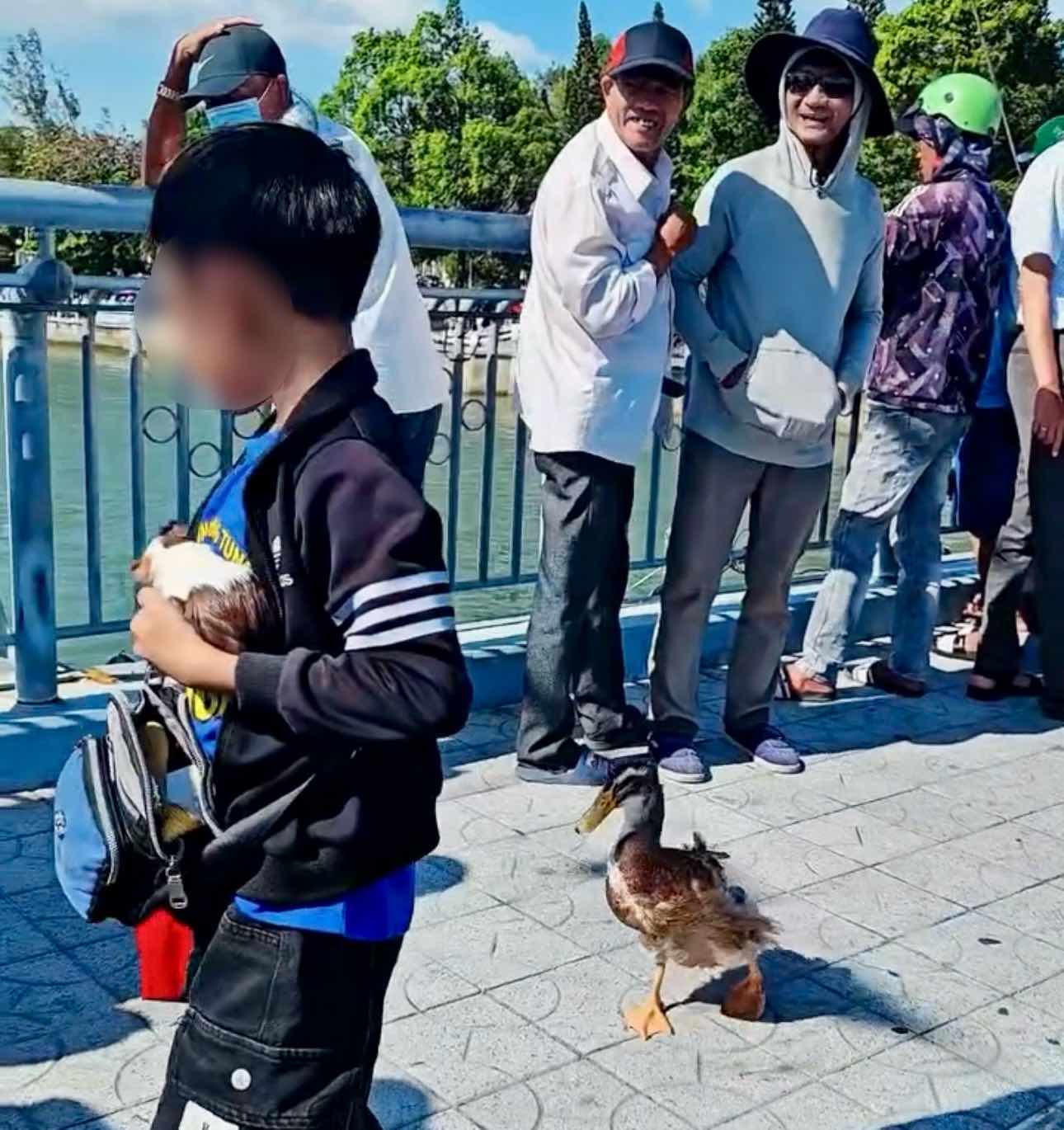 Hình ảnh chú vịt theo chân cậu bé bán vé số khiến nhiều người chú ý. Ảnh: Phạm Phong