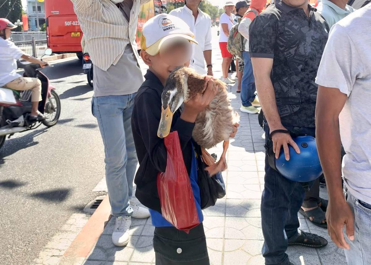 Em Nam ôm chú vịt vào lòng. Ảnh: Phạm Duy