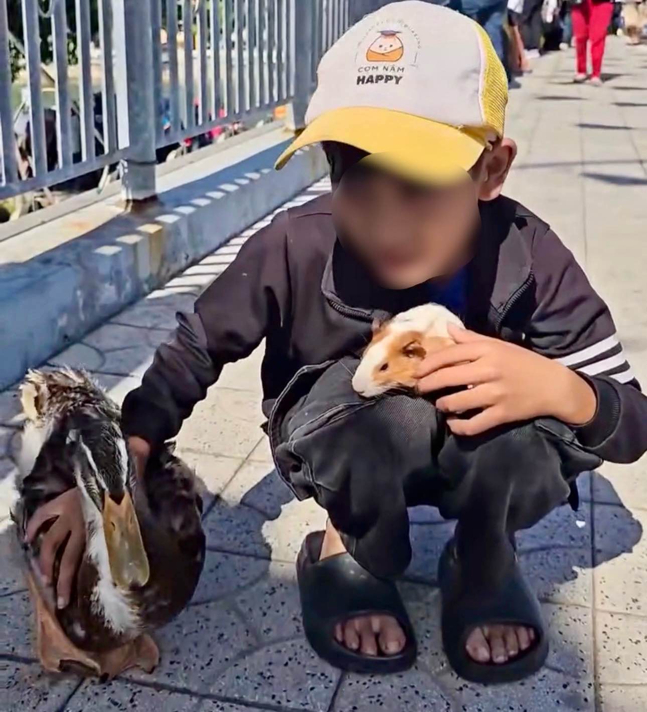 Chú vịt và chuột hamster do em Nam nuôi. Ảnh: Duy Tuấn 