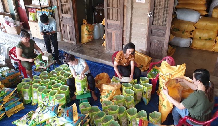 Gạo nếp quýt Đạ Tẻh đã được chứng nhận sản phẩm OCOP 4 sao và có mặt trên bản đồ lúa gạo Việt Nam. Ảnh: Phúc Khánh 