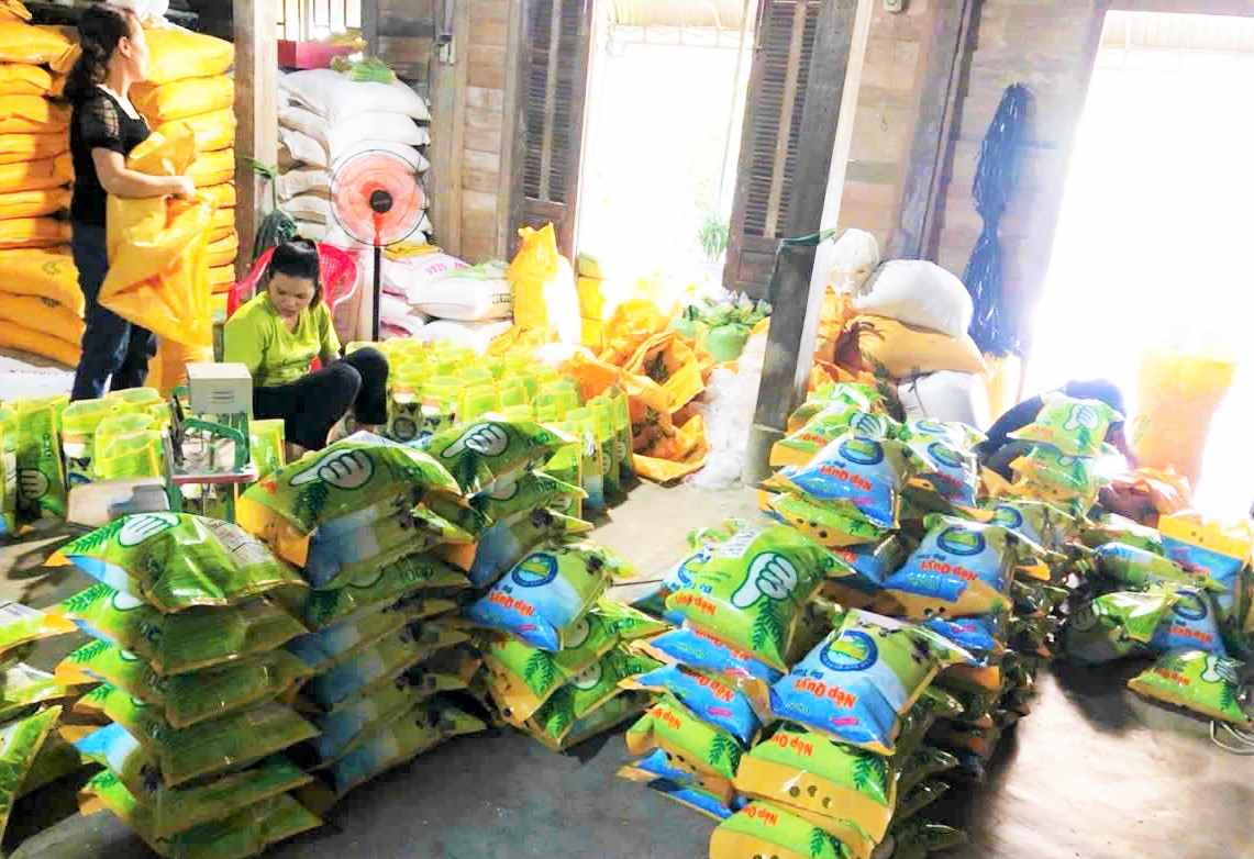 Hợp tác xã Quyết Tâm (xã Đạ Tẻh) đang tất bật đóng gói nếp quýt để phục vụ thị trường Tết. Ảnh: Phúc Khánh 