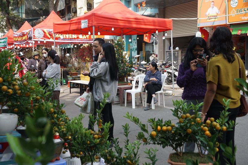 Hang Luoc flower market, recreating the old Tet market space of Hanoi people. Photo: Tung Giang
