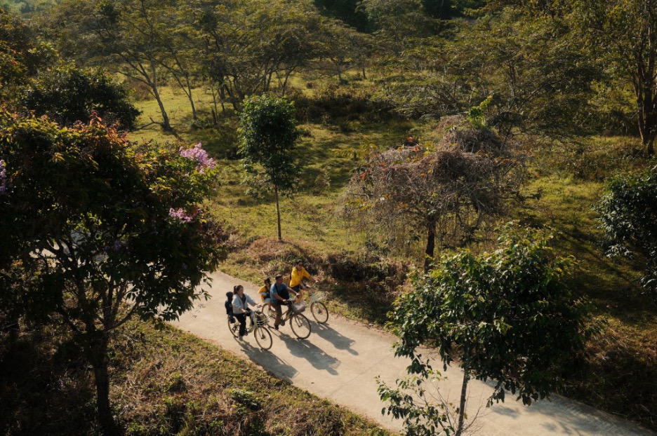 Cát Tiên là một trong những vườn quốc gia mang đến đa dạng trải nghiệm cho khách du lịch, từ các hoạt động thể chất như đạp xe, đi bộ đường dài cho đến những trải nghiệm khám phá, tìm hiểu thiên nhiên.