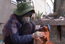 Ha Thai craft village is busy making lacquer horses to serve the 2026 Lunar New Year