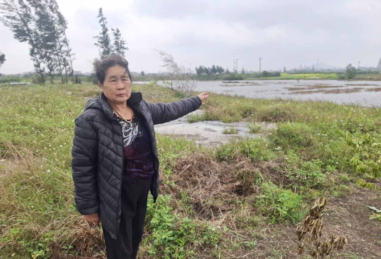 Ms. That next to a salt field abandoned for many years, so she hopes there will be a project to recover it to receive compensation. Photo: Tran Tuan.