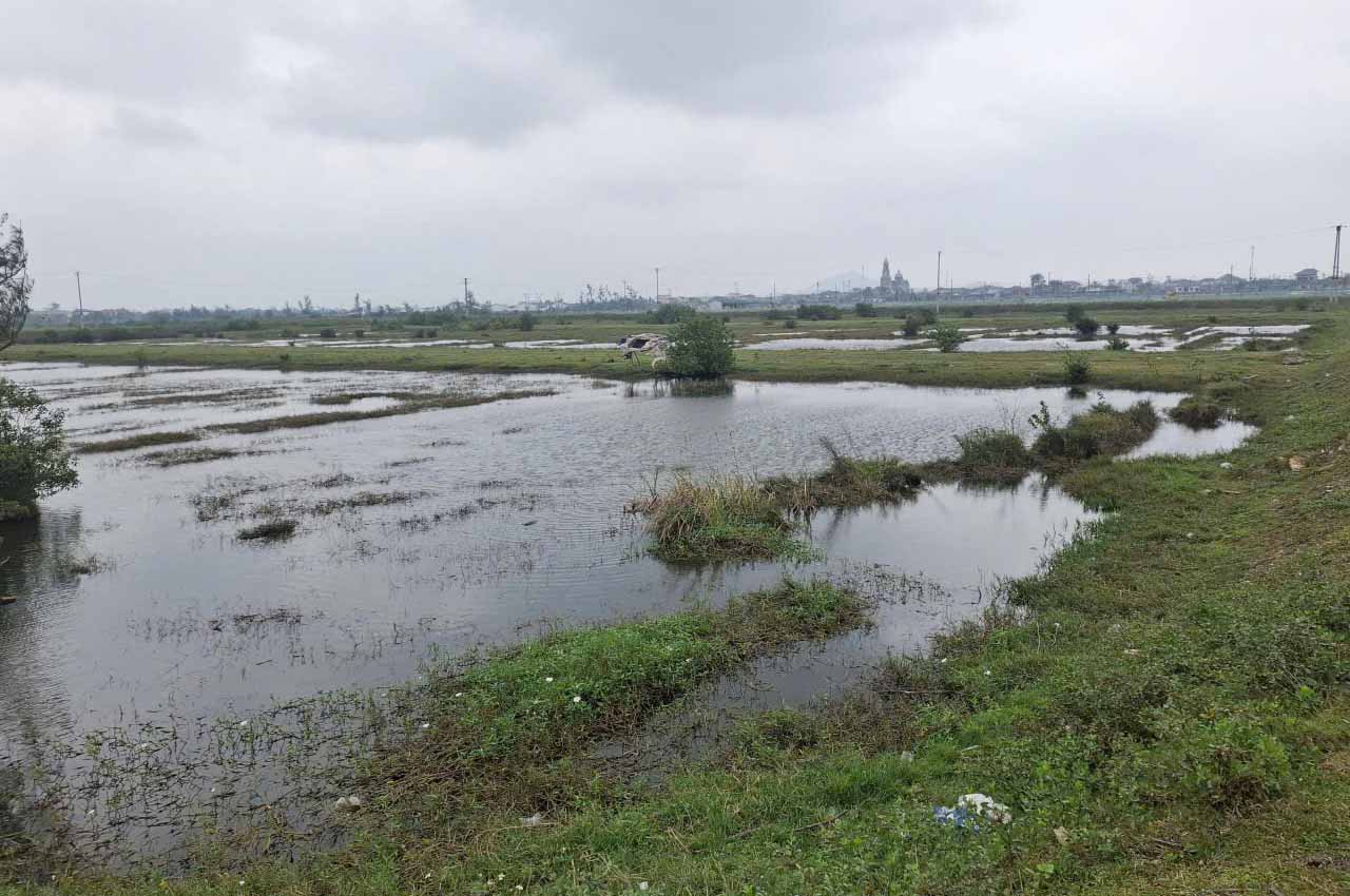 Hàng chục ha đất sản xuất muối ở Tổ dân phố Liên Xuân bỏ hoang chờ dự án nuôi trồng thủy sản vào nhằm tránh lãng phí đất. Ảnh: Trần Tuấn.