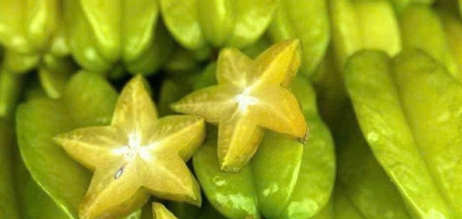 People with kidney disease should stay away from star fruit, even though this is a fruit rich in vitamins. Photo: Kieu Vu