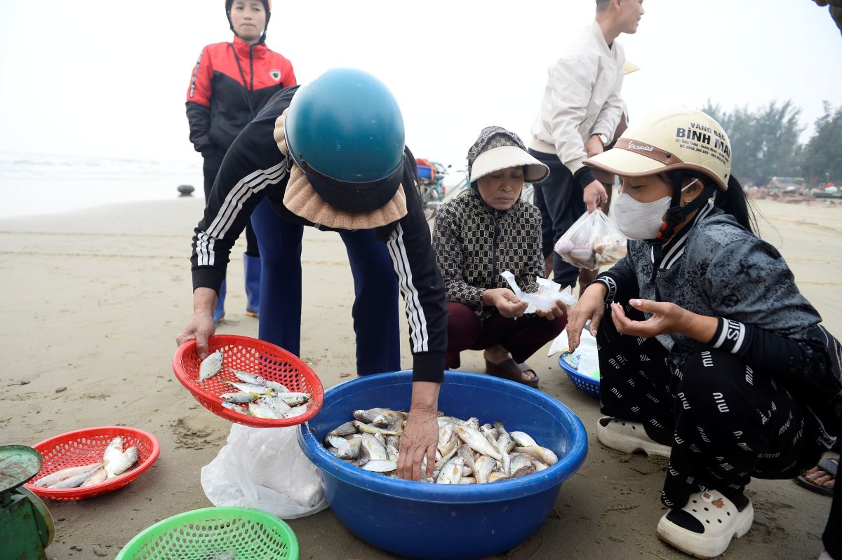 Hải sản sau khi cập bờ, sẽ được các thương lái đến thu mua ngay tại bờ. Ảnh: Quách Du