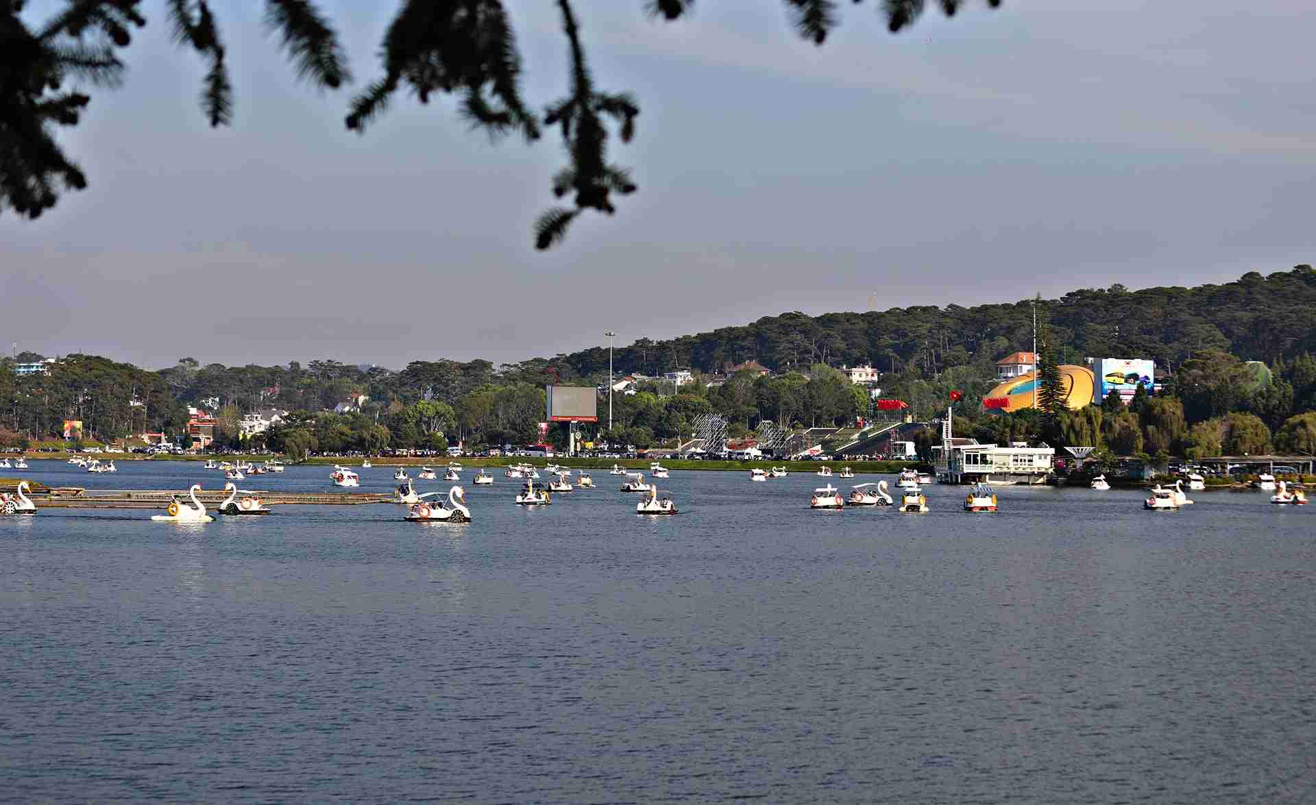 Dịch vụ đạp vịt trên hồ Xuân Hương được đông đảo du khách lựa chọn khi đến Đà Lạt du xuân. Ảnh: Thần Hy 