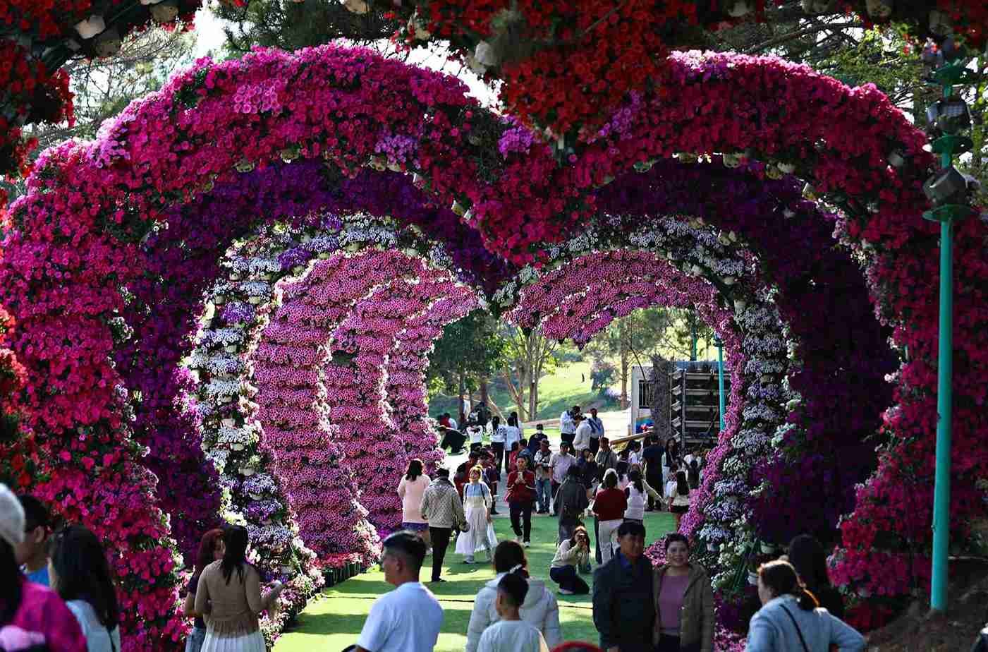 Tourists flock to Da Lat to enjoy spring and relax during the Binh Ngo Lunar New Year. Photo: Than Hy